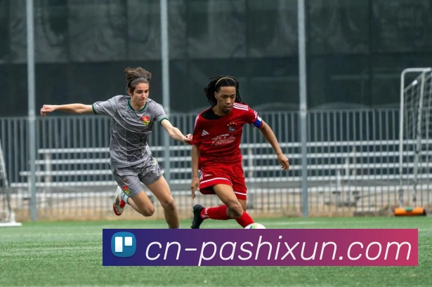 pa视讯APP 封面图